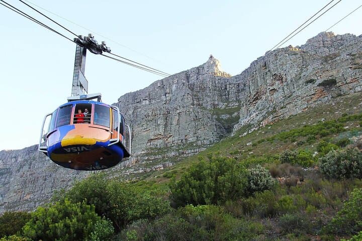 Table Mountain National Park and Penguins Colony Half Day Tour