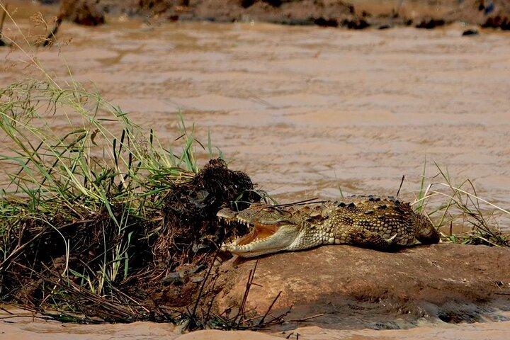 Udawalawe National Park | Half day - Safari tour