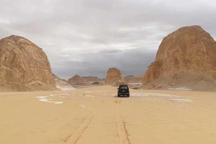 Day tour to White Desert and Bahariya Oasis Tour