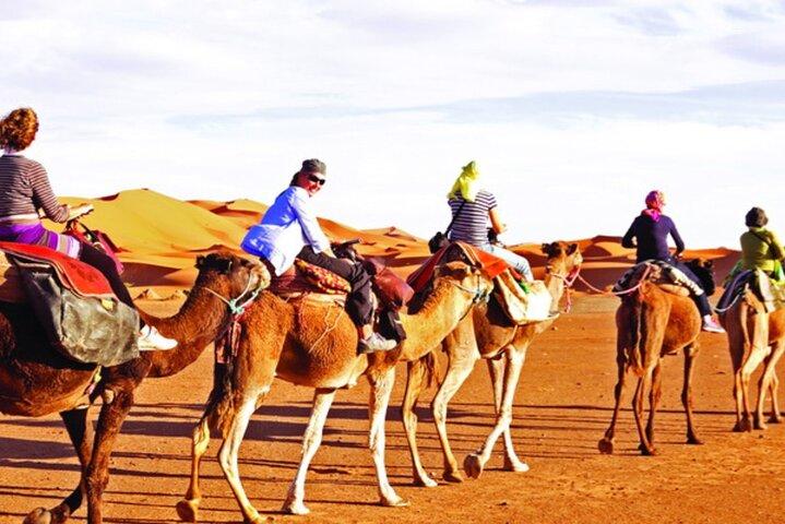 Exhilarating Desert Safari, Including BBQ Dinner from Dubai