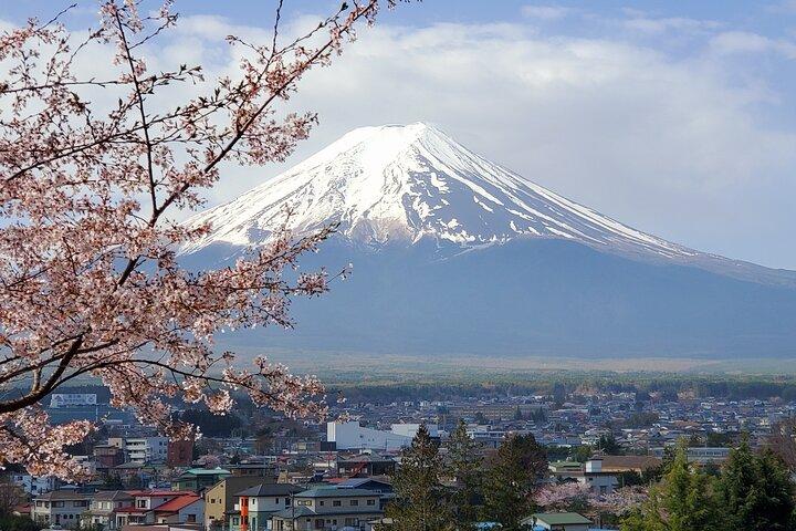 2 Days - 1.Tokyo/2.Mt. Fuji and Hakone Private Tour from Tokyo