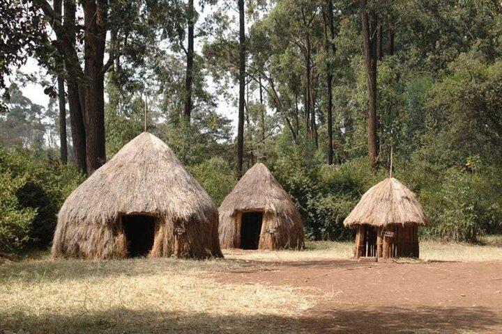 Private Afternoon Tour to Bomas of Kenya from Nairobi