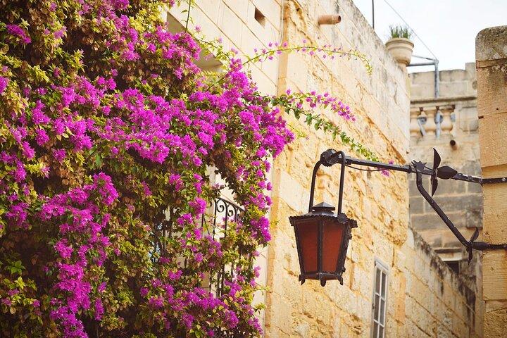 Mdina and Rabat Half Day Private Tour