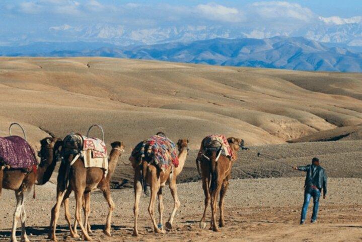 Morning Escapade 1H Quad and 1H Camel Ride in Agafay