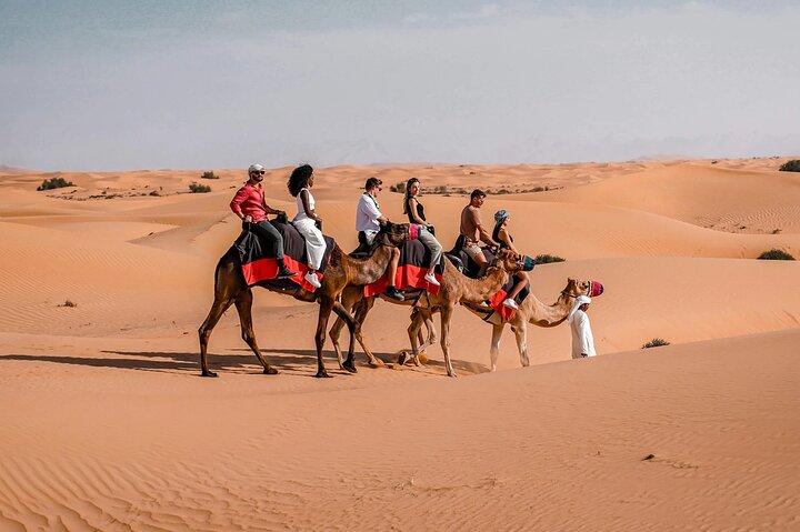 Private Premium Dubai Desert Safari with Camel Ride and Live Show