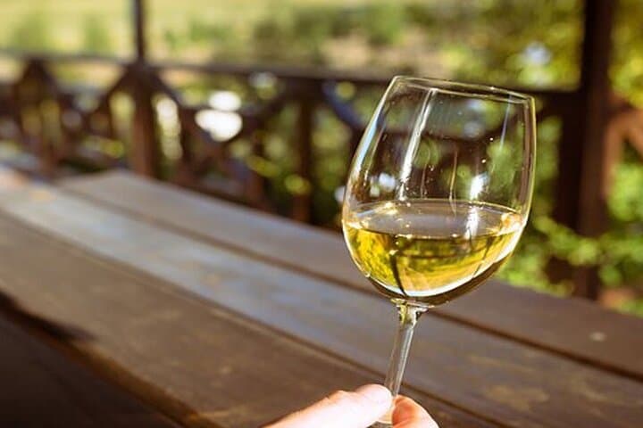 Kirstenbosch Botanical Gardens and Constantia Wine Tasting