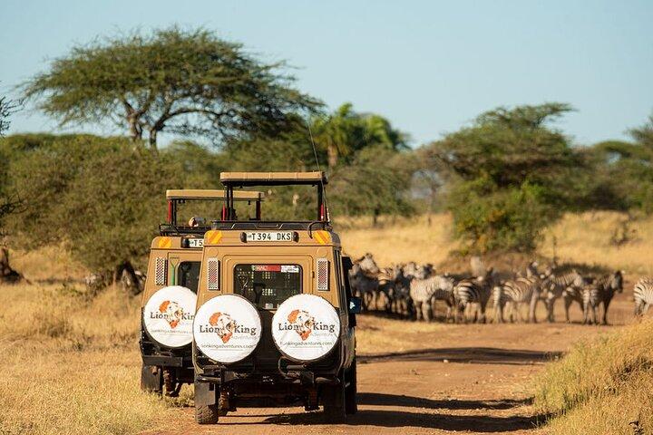 5 Days Best of Tanzania Luxury Safari Northern Circuit