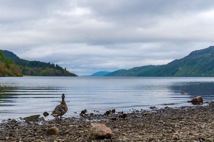 Loch Ness, Outlander & Urquhart Castle from Inverness