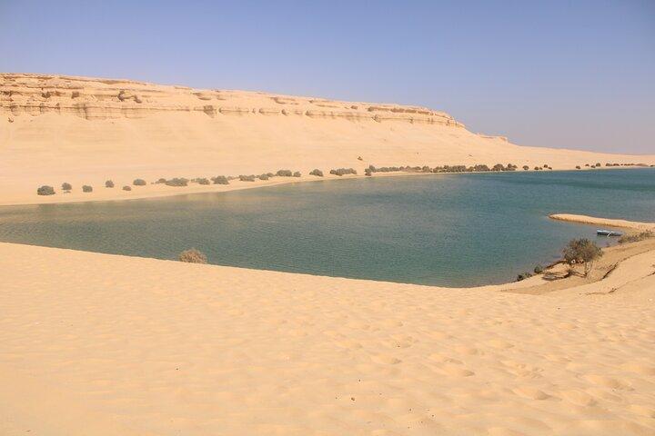 Unforgettable Private Tour to Wadi El Hitan and Tunis Beach