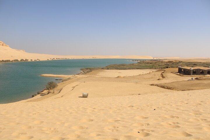 Unforgettable Private Tour to Wadi El Hitan and Tunis Beach