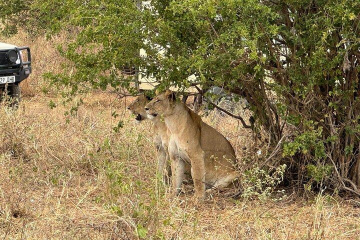 5 Days Serengeti Great Migration Safari - Mara River Crossing