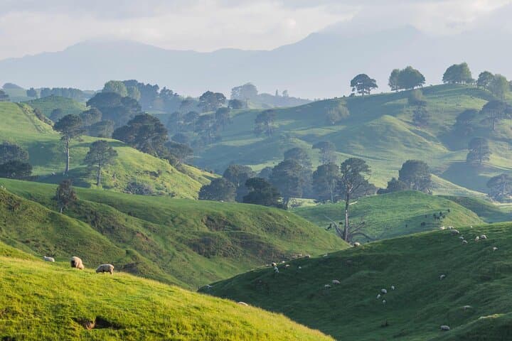 From Auckland:Hobbiton Movie Set & Waitomo Caves Small Group Tour