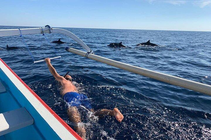 Bali Swim with Dolphins & Watching Sunrise, Gitgit Waterfall