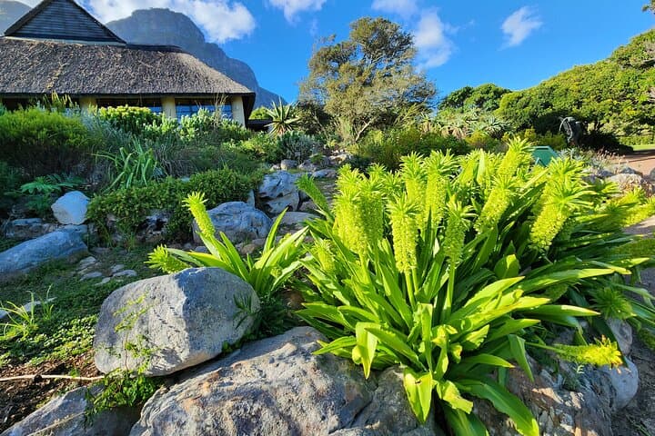 Table Mountain Kirstenbosch World of Birds,Diamond Factory incl