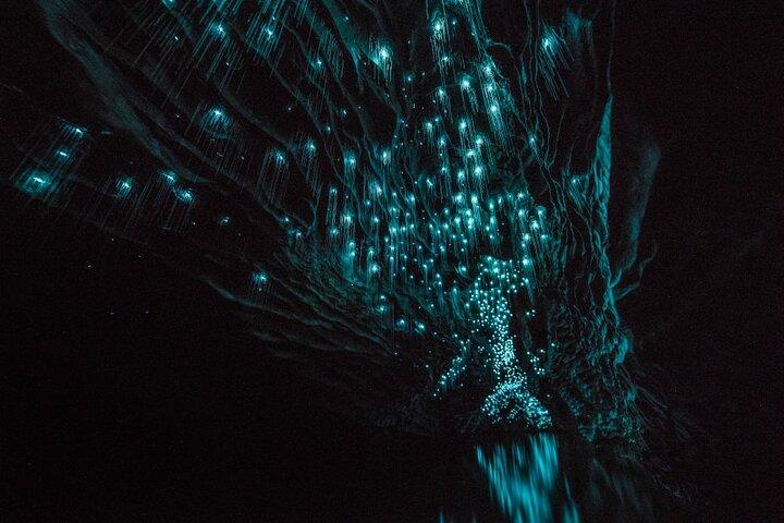 Glowworm Caves & Hamilton Gardens Day Tour from Auckland
