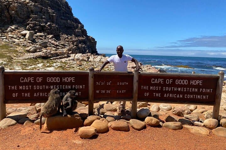 Cape Peninsula &Penguin Sightseeing in Private Car Full Day Tour