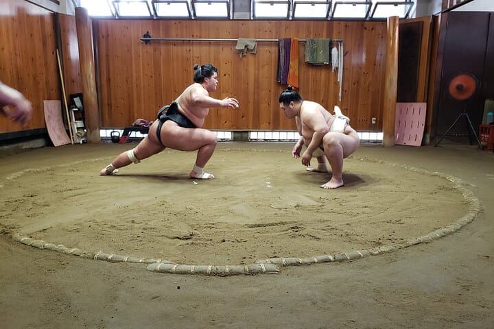 Sumo Practice Viewing Guided Tour and Photo with Sumo Wrestlers