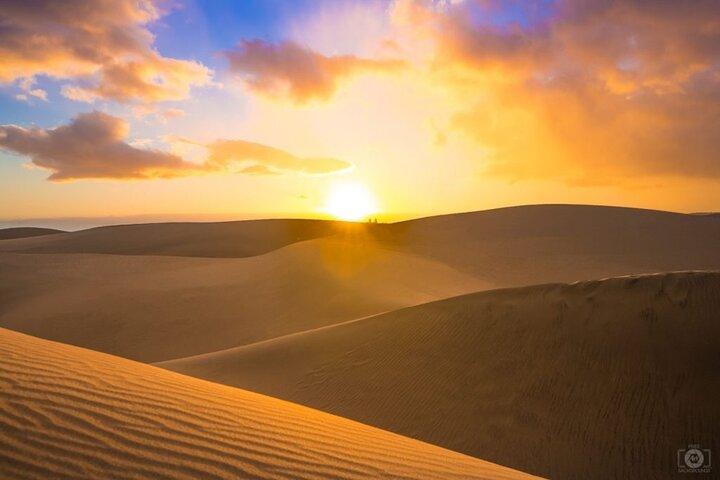 Doha Desert Safari Dune Bashing Camel Ride Sandboarding
