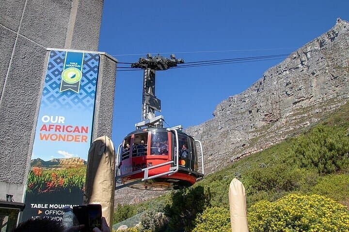 Table Mountain Boulder's Beach and Cape Point Tour