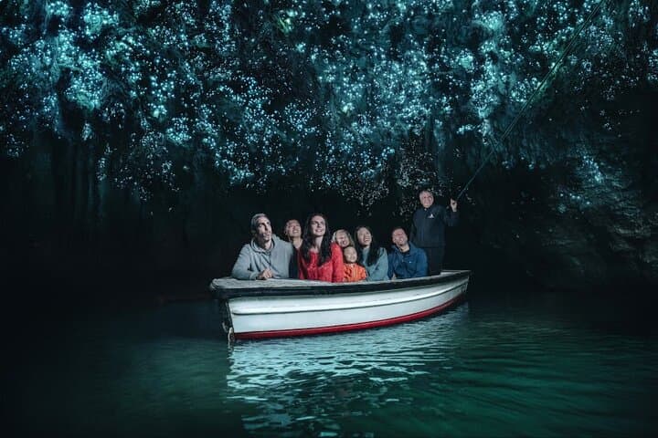 Small Group Waitomo and Rotorua including Te Puia Tour