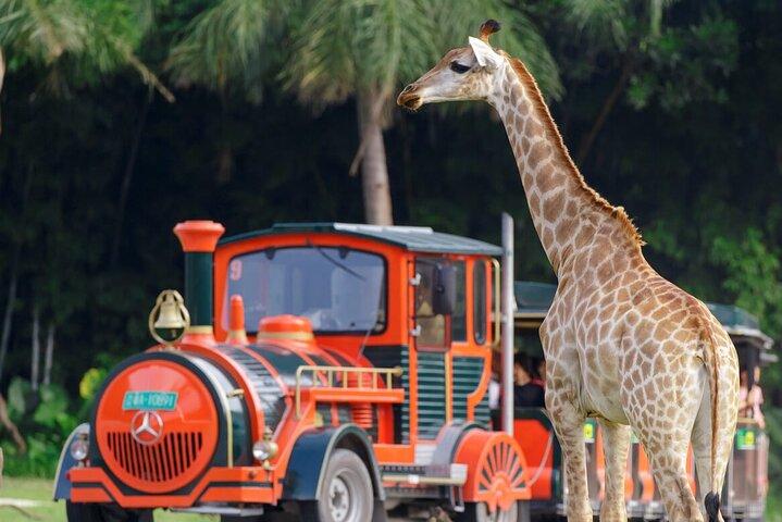 Guangzhou Chimelong Safari Park