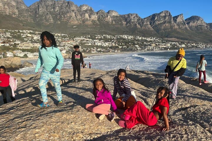 Private Guided Tour to Table Mountain and Cape Point with Penguin