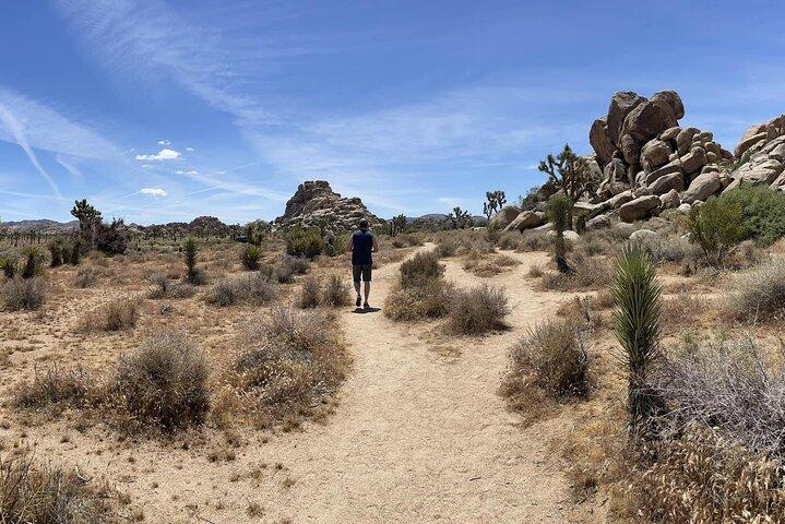 Private Joshua Tree NP Day tour from San Diego (10 hours)
