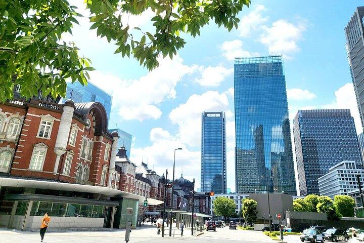 Private Custom Tokyo Tour with a Tokyo Resident Pro Guide By Car