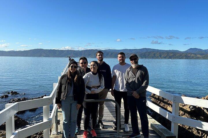 Wellington City Heights Private Sightseeing 6 hour tour