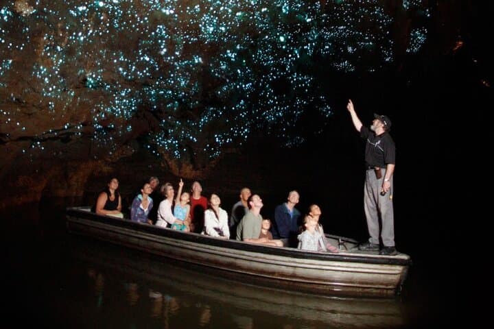Hobbiton and Waitomo Caves Small Tour from Auckland