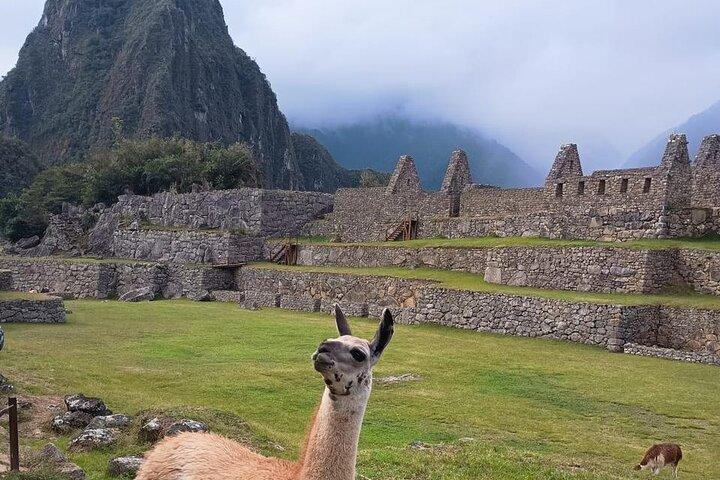 Full Day Machu Picchu from Cusco with Vistadome train