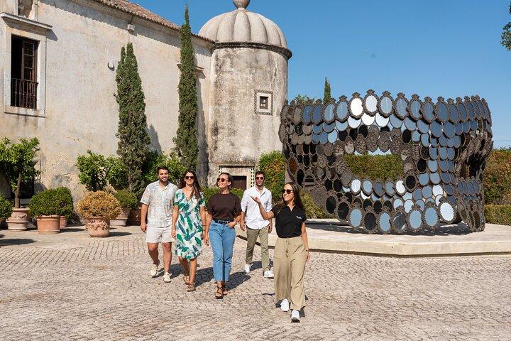Setúbal: Winery & Fish Market Tasting Tour from Lisbon