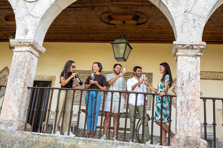 Setúbal: Winery & Fish Market Tasting Tour from Lisbon
