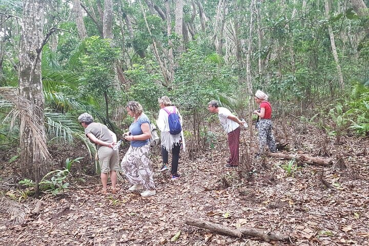 Full Day Jozani Forest, Kuza Cave, Paje Beach & Rock Restaurant