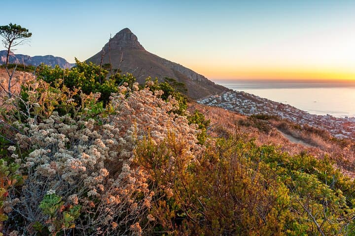 Private Cape Town Lion's Head Sunrise and Sunset Hike