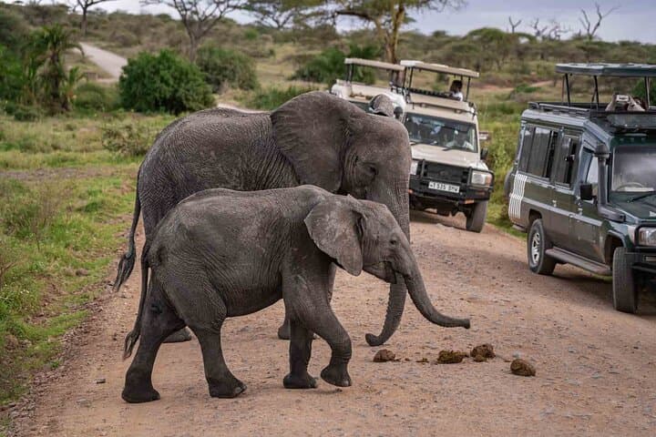 3 Days Private Tsavo East and West with Mzima Springs Safari
