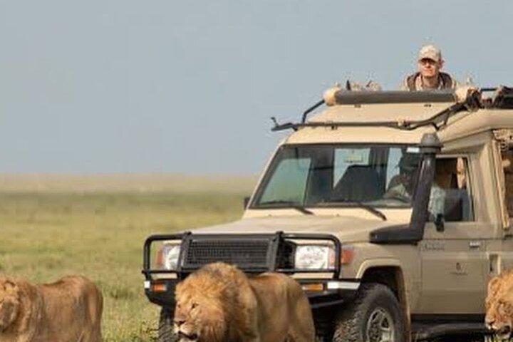 3 Days - Amazing Safari Serengeti and Ngorongoro Crater