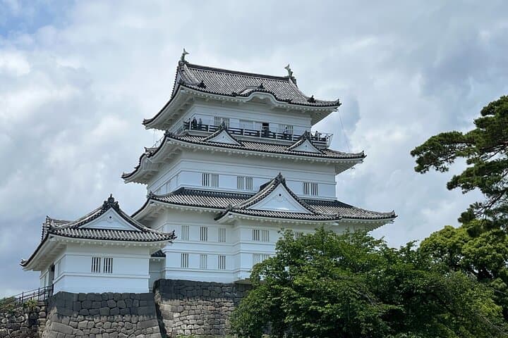 Odawara Castle Sightseeing Tour by Shinkansen