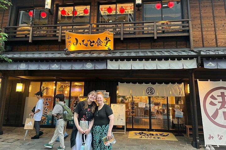 Odawara Castle Sightseeing Tour by Shinkansen