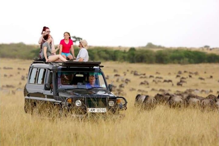 Top Rated 3 Day Masai Mara Safari – Game Drives and Scenic Views