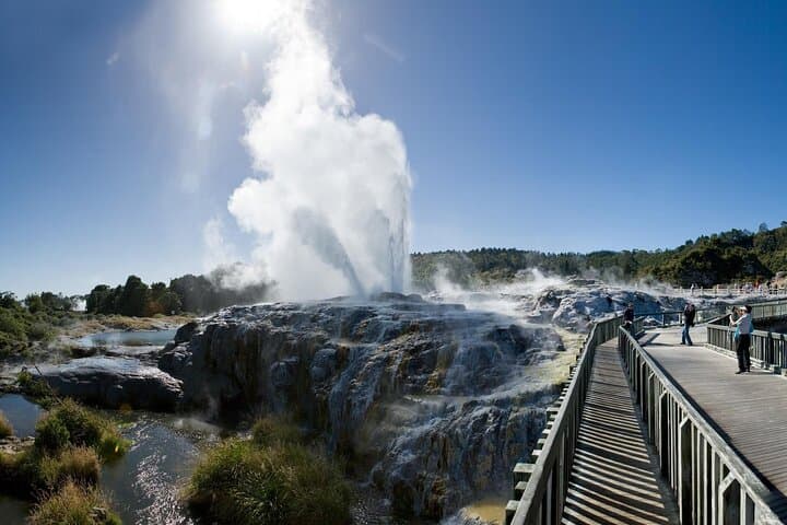 Small Group Waitomo and Rotorua including Te Puia Tour