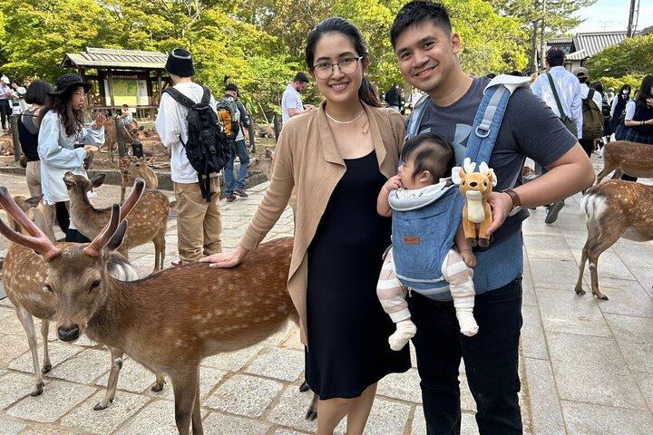 Nara Tour by Car from Kyoto Osaka Kobe