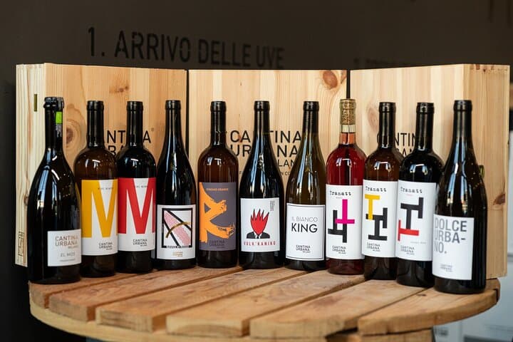 Wine Tasting Experience