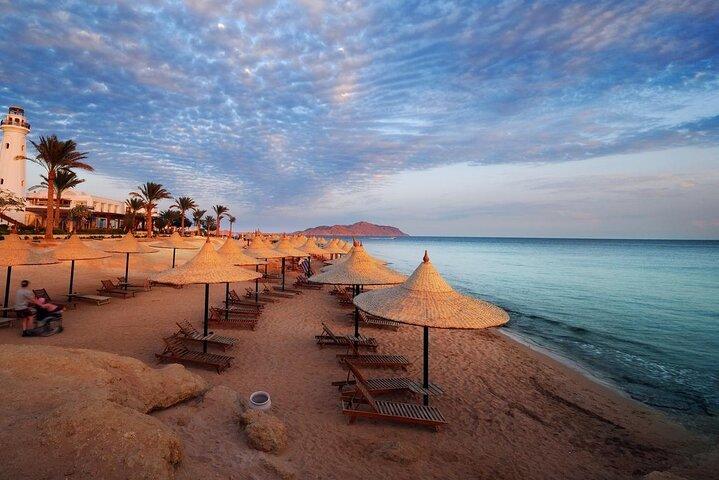 Egypt Desert and Sea Escape Tour