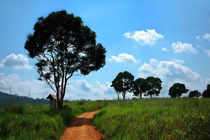 Bangkok: Khao Yai Nature Trails & Heaw Suwat Waterfall