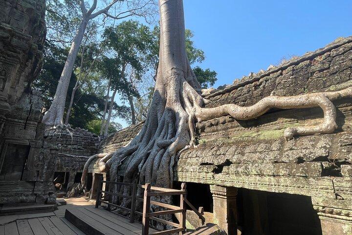 Private 7-Day Journey Through Out Cambodia