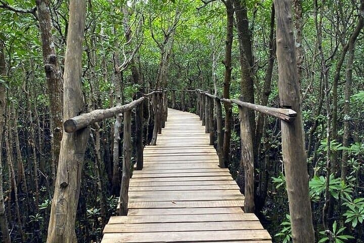 Private Jozani Forest and Stone Town Exploration with Spice Tour