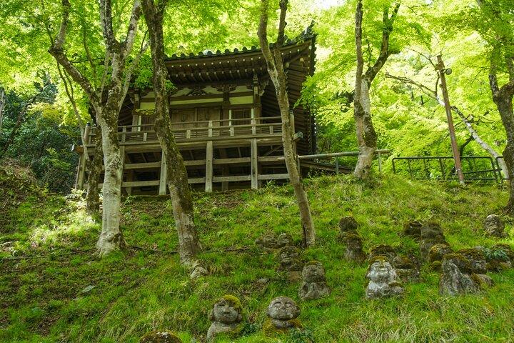 Otagi Nenbutsu Temple and Arashiyama Bamboo Forest Tour