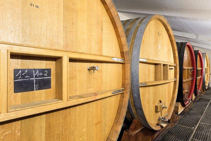 Bandol Wine Trip from Toulon & Ports