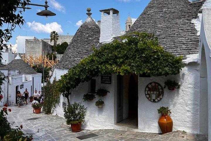 From Brindisi. Ostuni, Alberobello and Polignano a Mare Tour